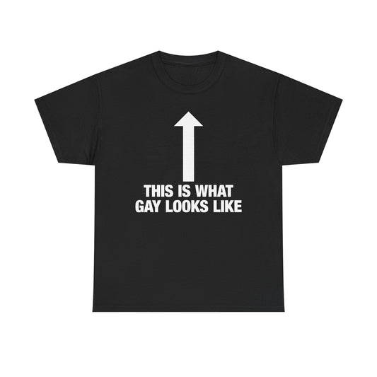 This Is What Gay Looks Like T-Shirt