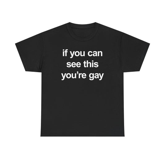 If You Can See This You're Gay T-Shirt