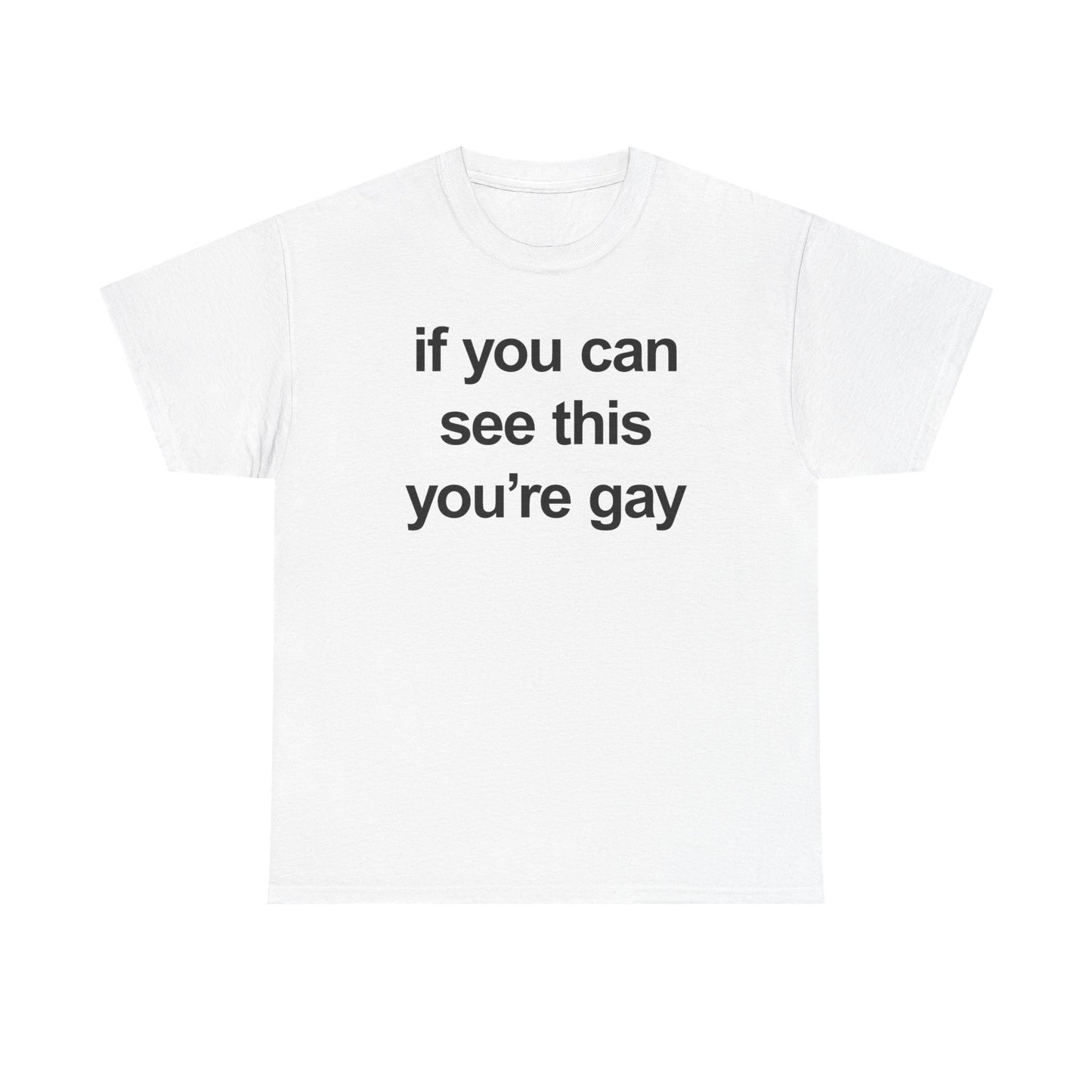 If You Can See This You're Gay T-Shirt