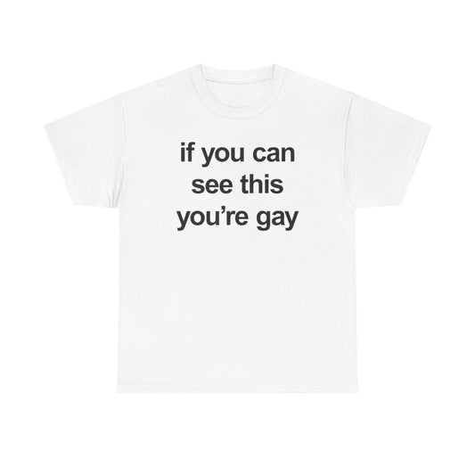 If You Can See This You're Gay T-Shirt