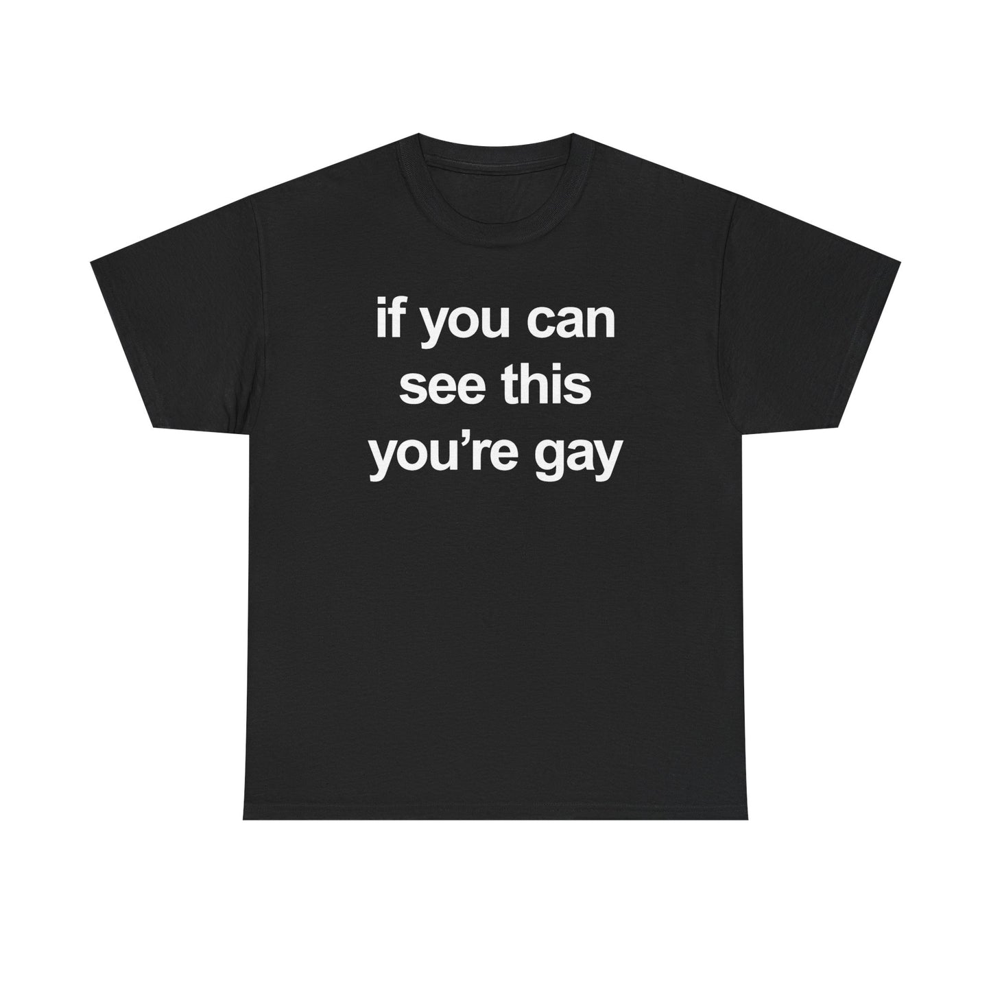 If You Can See This You're Gay T-Shirt